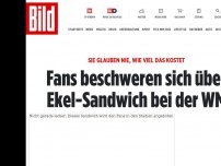 Bild zum Artikel: Sie glauben nie wie viel DAS kostet - Fans beschweren sich über Ekel-Sandwich bei der WM