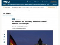 Bild zum Artikel: Mit Waffen in den Reichstag – So radikal waren die Pläne der „Reichsbürger“