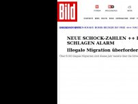 Bild zum Artikel: 30 Prozent mehr Schleuser - Illegale Migration und Schleuser auf Höchststände
