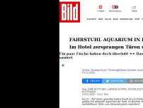 Bild zum Artikel: Großeinsatz in Berlin - 16 Meter hohes Aquarium in Hotel explodiert