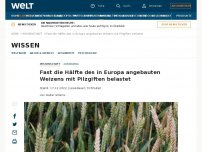 Bild zum Artikel: Fast die Hälfte des in Europa angebauten Weizens mit Pilzgiften belastet