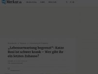 Bild zum Artikel: „Lebenserwartung begrenzt“: Katze Rosi ist schwer krank – Wer gibt ihr ein letztes Zuhause?