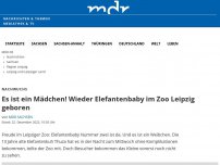 Bild zum Artikel: Neues Elefantenbaby im Zoo Leipzig