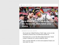 Bild zum Artikel: Fanforscher schlägt Alarm: Anhänger verlieren emotionale Bindung zum DFB-Team