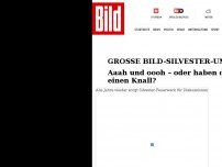 Bild zum Artikel: Große BILD-Silvester-Umfrage - Aaah, oooh – oder haben Böller-Käufer einen Knall?