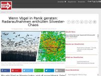 Bild zum Artikel: Wenn Vögel in Panik geraten: Radaraufnahmen enthüllen Silvester-Chaos