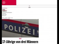 Bild zum Artikel: 17-Jährige von drei Männern im Stadtpark vergewaltigt