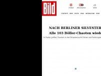 Bild zum Artikel: Nach Berliner Silvester-Schande - Alle 103 Böller-Chaoten wieder auf freiem Fuß