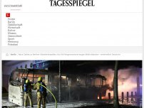 Bild zum Artikel: Neue Zahlen zu Berliner Silvester-Krawallen: Nur 38 Festgenommene wegen Böller-Attacken – mehrheitlich Deutsche