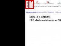 Bild zum Artikel: Sieg für Habeck - FDP glaubt nicht mehr an AK-Wende
