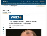 Bild zum Artikel: „Die kleinen Paschas“ – Merz polarisiert und stellt konkrete Forderungen