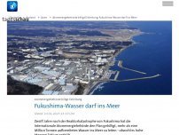 Bild zum Artikel: Fukushima: Japan will aufbereitetes Wasser ins Meer leiten