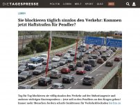 Bild zum Artikel: Sie legen täglich den Verkehr lahm: Kommen jetzt Haftstrafen für Pendler?