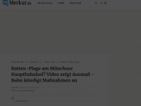 Bild zum Artikel: Ratten-Plage am Münchner Hauptbahnhof? Video zeigt verstörende Szenen mitten am Tag
