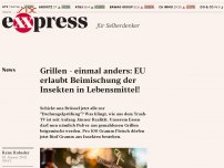 Bild zum Artikel: Grillen – einmal anders: EU erlaubt Beimischung der Insekten in Lebensmittel!