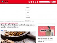 Bild zum Artikel: Die wichtigsten Fragen und Antworten - Insekten in Lebensmitteln zugelassen - worauf Sie jetzt achten müssen