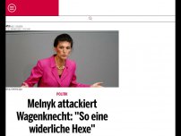 Bild zum Artikel: Melnyk attackiert Wagenknecht: ''So eine widerliche Hexe''