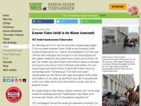 Bild zum Artikel: Erneuter Fiaker-Unfall in der Wiener Innenstadt