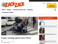 Bild zum Artikel: Fiaker schlägt gestürztes Pferd