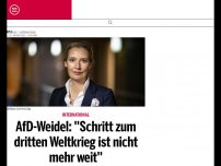 Bild zum Artikel: AfD-Weidel: ''Schritt zum dritten Weltkrieg ist nicht mehr weit''