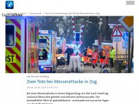 Bild zum Artikel: Zwei Tote bei Messerattacke in Regionalzug von Kiel nach Hamburg
