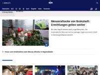Bild zum Artikel: Gleich live: Pressekonferenz zur Messerattacke im Zug von Kiel nach Hamburg