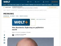 Bild zum Artikel: Was Baerbocks Äußerung so gefährlich macht