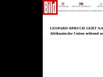 Bild zum Artikel: Leopard-Spruch geht nach hinten los - Afrika wütend auf Baerbock