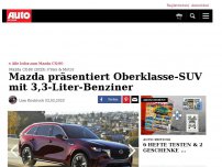 Bild zum Artikel: Platz da für den neuen Mazda