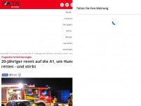 Bild zum Artikel: Tragischer Unfall bei Hagen - 20-Jähriger rennt auf die A1, um Hund zu retten - und stirbt