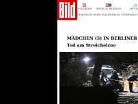 Bild zum Artikel: Verdächtiger (19) festgenommen - Mädchen (4) tot – Passanten fanden es in Berliner Park