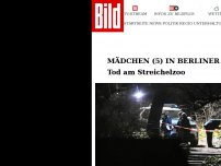 Bild zum Artikel: Verdächtiger (19) festgenommen - Mädchen (4) tot – Passanten fanden es in Berliner Park