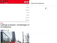 Bild zum Artikel: Berlin - Vermisste Vierjährige ist tot - 19-Jähriger verhaftet