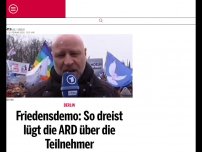 Bild zum Artikel: Friedensdemo: So dreist lügt die ARD über die Teilnehmer