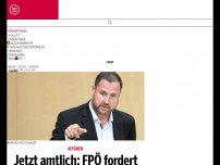 Bild zum Artikel: Jetzt amtlich: FPÖ fordert Corona U-Ausschuss