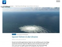 Bild zum Artikel: Nord-Stream-Ermittlungen: Spuren führen in die Ukraine