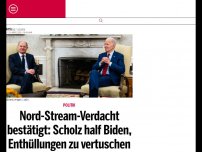 Bild zum Artikel: Nord-Stream-Verdacht bestätigt: Scholz half Biden, Enthüllungen zu vertuschen