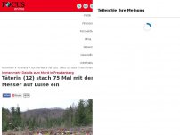 Bild zum Artikel: FOCUS online exklusiv: Jüngere Täterin erstach Luise -...