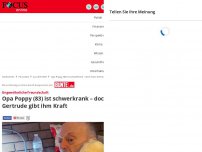 Bild zum Artikel: Ungewöhnliche Freundschaft: Opa Poppy (83) ist schwerkrank –...