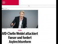 Bild zum Artikel: AfD-Chefin Weidel attackiert Faeser und fordert Asylrechtsreform