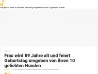 Bild zum Artikel: Frau wird 89 Jahre alt und feiert Geburtstag umgeben von ihren 10 geliebten Hunden