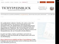 Bild zum Artikel: Die Grünen sind in der Regierung nur noch Küchenhilfe