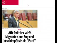 Bild zum Artikel: AfD-Politiker wirft Migranten aus Zug und beschimpft sie als ''Pack''