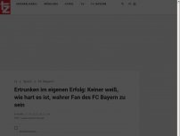 Bild zum Artikel: Ertrunken im eigenen Erfolg: Keiner weiß, wie hart es ist, wahrer Fan des FC Bayern zu sein