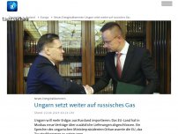Bild zum Artikel: Ungarn schließt neue Gaslieferverträge mit Russland ab
