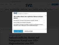 Bild zum Artikel: Judenfeindliche Hetze auf Telegram-Kanal von AfD-Abgeordneter aus MV