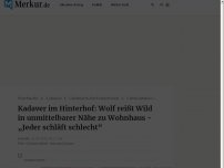 Bild zum Artikel: Kadaver im Hinterhof: Wolf reißt Wild in unmittelbarer Nähe zu Wohnhaus - „Jeder schläft schlecht“