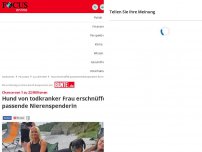 Bild zum Artikel: Chance von 1 zu 22 Millionen  - Hund von todkranker Frau erschnüffelt passende Nierenspenderin 