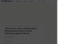 Bild zum Artikel: „Wir wissen, dass er nichts bringt“ - Mittenwalder bauen Schutzzaun gegen Wolf trotzdem