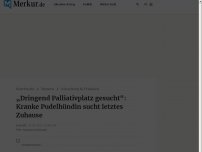 Bild zum Artikel: „Dringend Palliativplatz gesucht“: Kranke Pudelhündin sucht letztes Zuhause